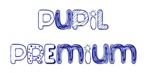 Sports and Pupil Premium – Wormley Primary